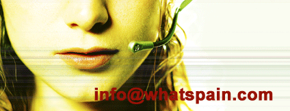 contact with Whatmadrid