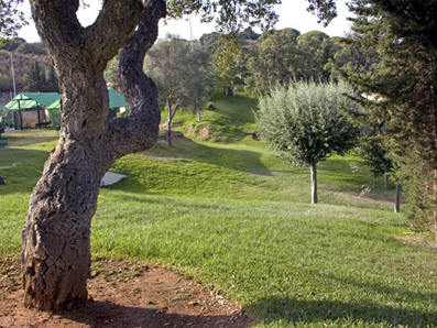 Alboran, Summer Camp in Marbella