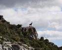 refugio juanar