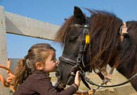 Horseback riding