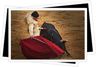 bullfighter